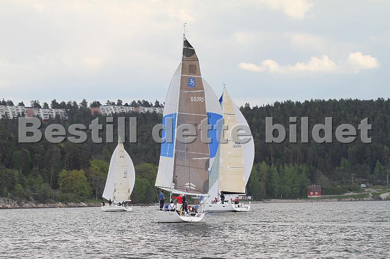 Bundefjorden2012 372.jpg